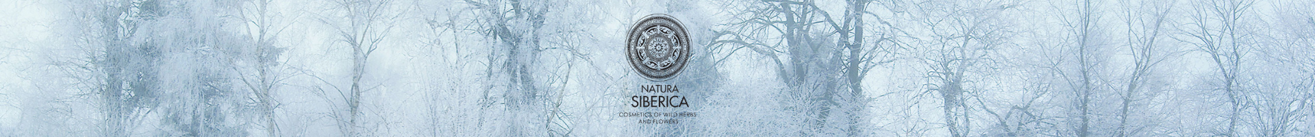 728x140 Procrinis De 2