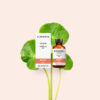 BIOEARTH ELEMENTA Sérum corps caféine + centella 6% 50ml – Image 2
